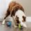 Електронна играчка за кучета PetSafe Ricochet