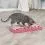 Trixie картонена драскалка с топки 48 x 25 x 5 см