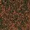 TROPICAL Cichlid Omnivore Medium Pellet 10л/3,6кг