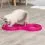 Trixie Flashing Ball Race - сгъваема писта за котки 65 x 31 см