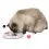 Trixie Cat Activity Flip Board - стратегическа игра за котки 23 см