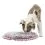 Trixie Junior Sniffing Carpet - килим за подушване 38 см
