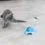 Trixie Catch Me играчка за котки 15 x 21 см