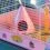 Клетка за хамстер CRICETI 9 PRINCESS 46 x 29,5 x 23 см