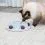 Trixie Cat Activity Pentagon - стратегическа игра за котки 28 см
