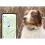 Tractive GPS DOG XL &ndash; проследяване на местоположението и активността на вашето куче &ndash; зелена цветова вариация