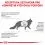 Royal Canin VHN Cat Hepatic 2 кг