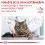 Royal Canin VHN Cat Hepatic 2 кг