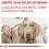 Royal Canin VHN Нейтрализирани Възрастни Малки Кучета 8 кг