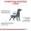 Royal Canin VHN Dog Hypoallergenic Moderate Calorie 14 кг