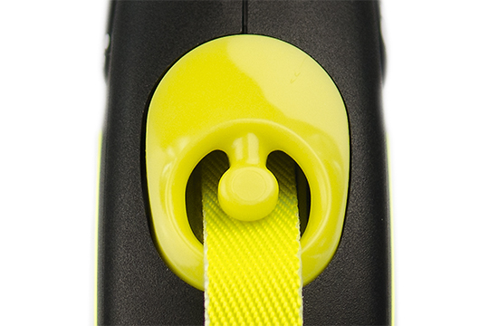 2020New_Neon_Gurtauslauf-M_540x360.jpg