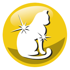 3_13.png