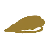 5_11.png