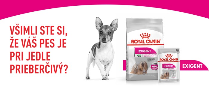 CCN_banner_Exigent_Care_Loaf_Mini_SK_700x287_px_FINAL_1.jpg