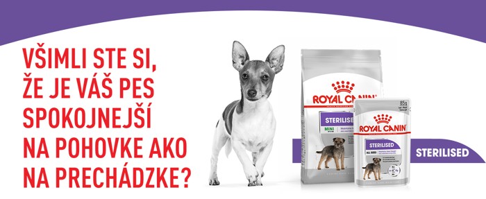 CCN_banner_Sterilised_Care_Loaf_SK_700x287_px_FINAL.jpg