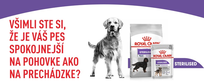 CCN_banner_Sterilised_Care_Maxi_SK_700x287_px_FINAL.jpg