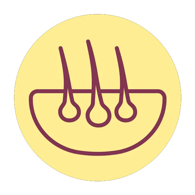 459-cardiac-function-daily.png