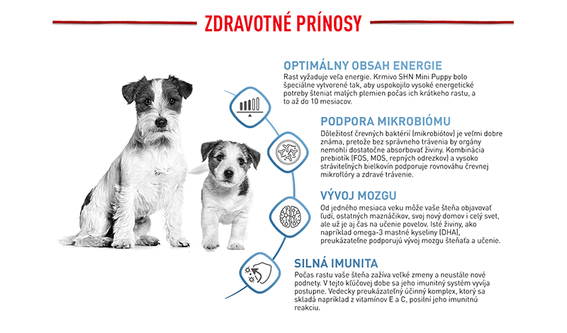 MINI_PUPPY_ENHANCED_CONTENT_SVK-3.png