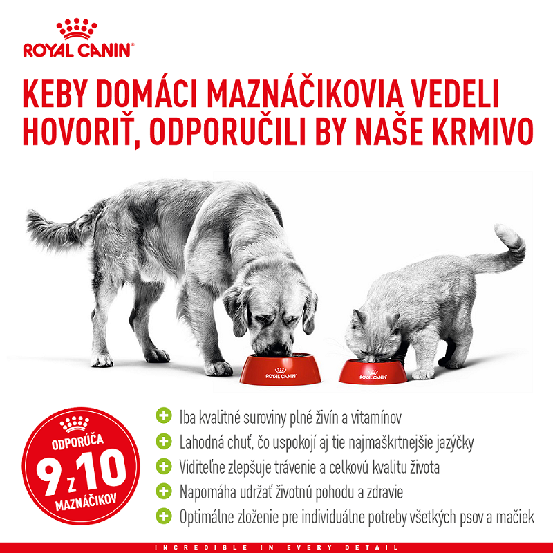 RC_banner_hodnoceni_1200x1200_px_SK_3.png