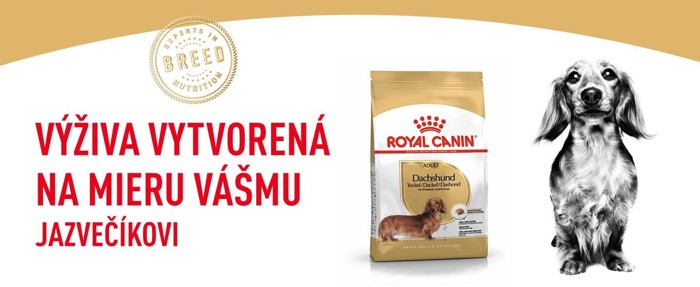 Dachshund01.jpg