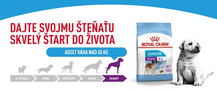 Giant_junior_01.jpg