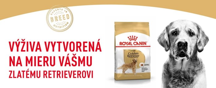 Golden01.jpg