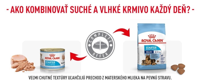 Maxi_starter_05.jpg