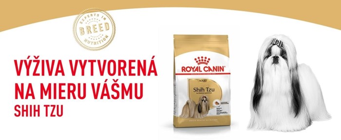 ShihTzu01.jpg