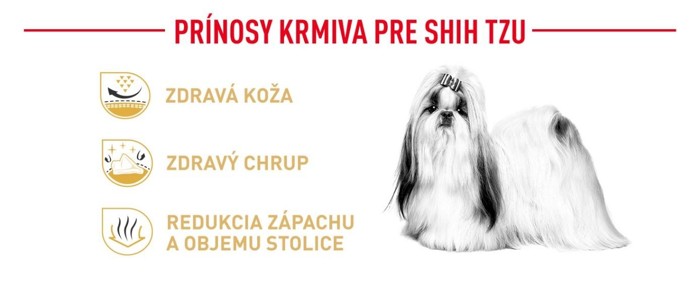 ShihTzu02.jpg