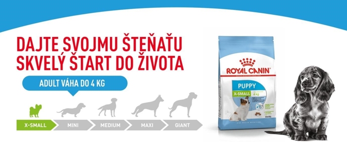Xsmall_puppy_01.jpg