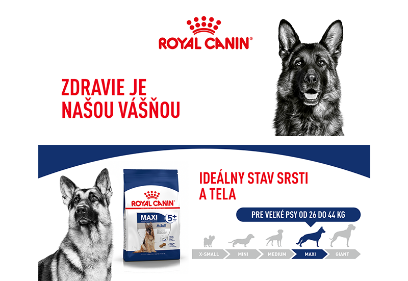 SHN_MAXI_ADULT_5+_DRY_800_px_width_SK-1.png