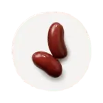 zemiak.png