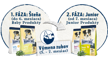 HappyDog-2Phasen-2016_SK.png