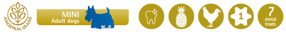 image_113.png