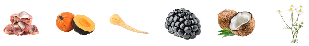 image_27.png