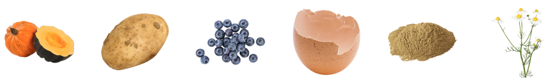 image_42.png