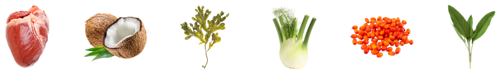 image_61.png