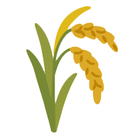 grain_free.png