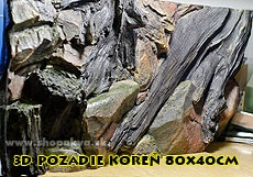 th_3d_pozadie_koren_80x40