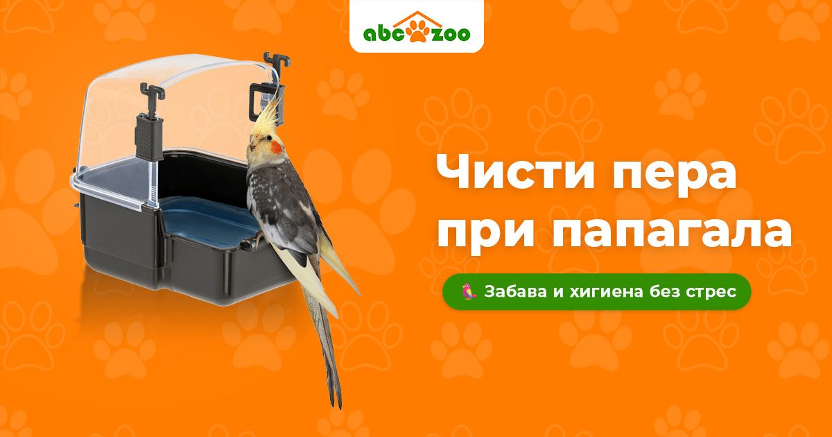 Как правилно да къпем папагала без стрес? 4 лесни и доказани начина Как правилно да къпем папагала без стрес? 4 лесни и доказани начина