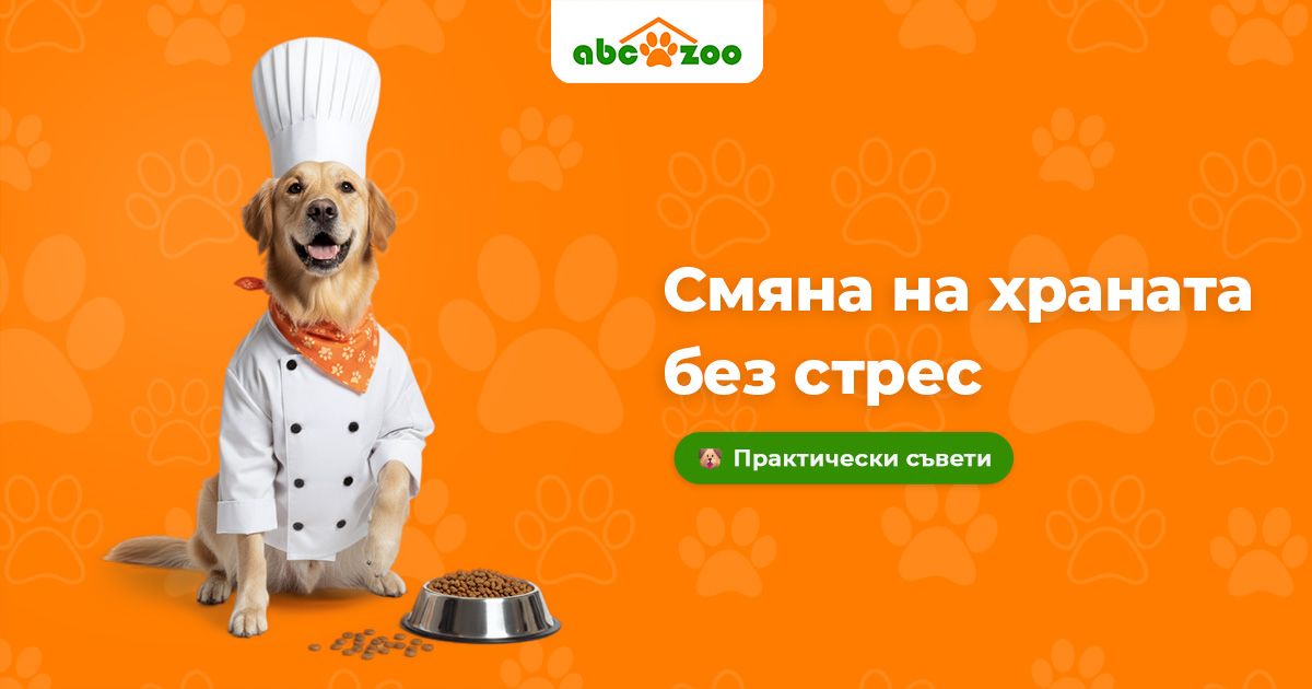 Как плавно да преминете към нова храна за куче или котка?