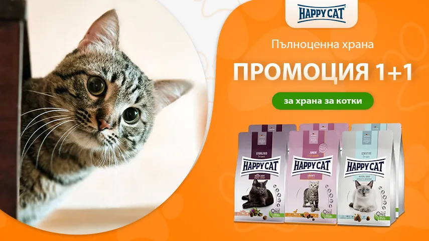 Happy Cat 1+1 безплатно