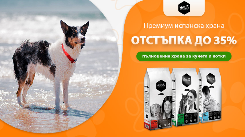 Amity - отстъпка до 35%