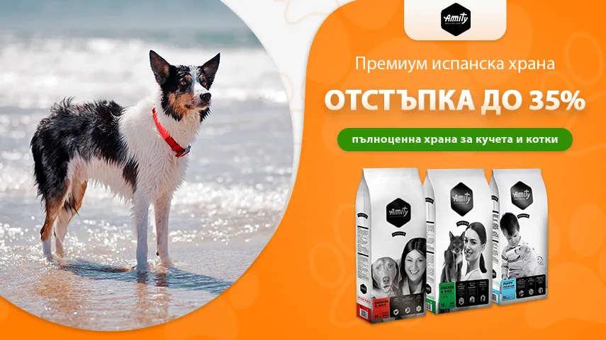 Amity - отстъпка до 35%