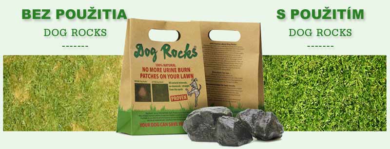 Dog Rocks - природни камъни против увреждане на тревата от кучешка урина
